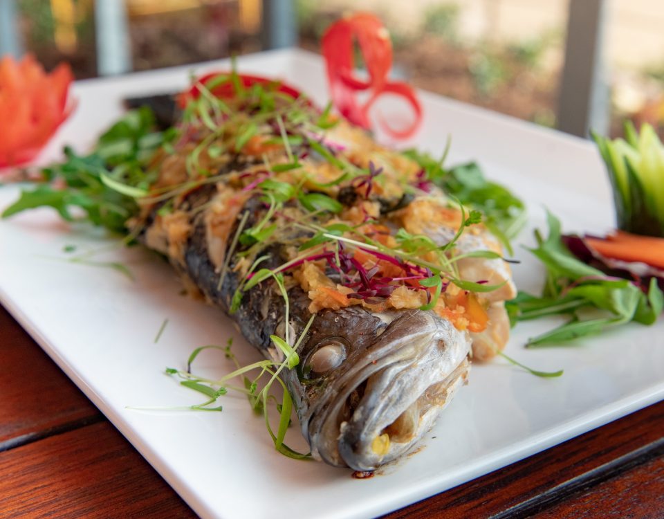 Thai Barramundi