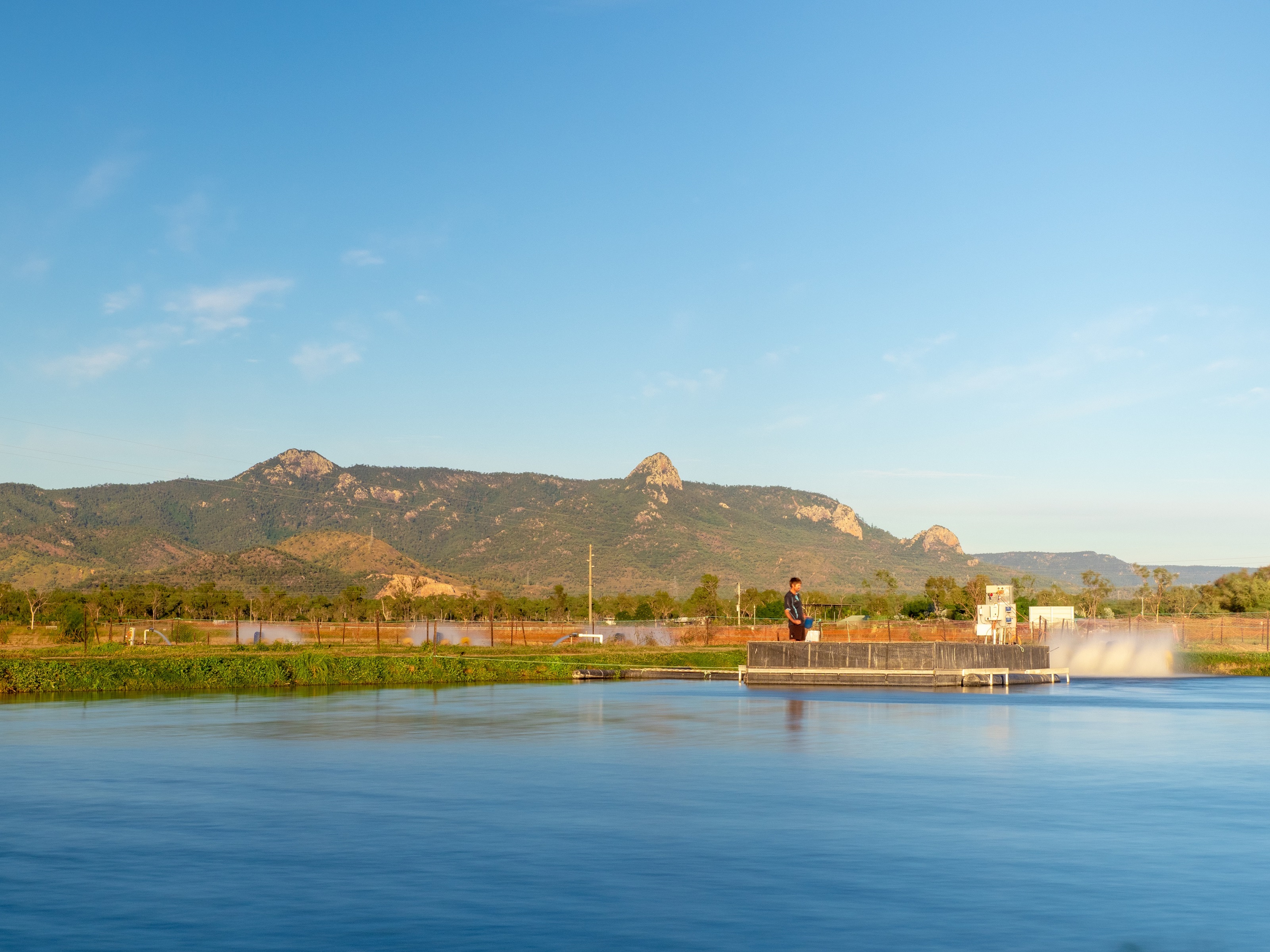 Australian Barramundi Farm