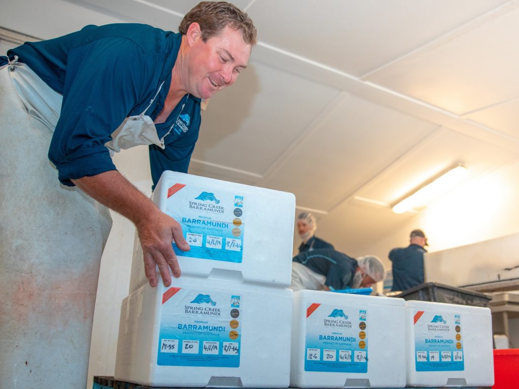 Packing barramundi for dispatch