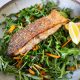 Bare Health Studio Crispy Skin Barramundi with Kale Slaw